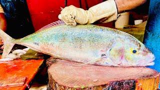 I Never Seen Giant Para Fish CuttingFilleting Live In Fish Market  Fish Cutting Skills