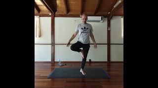 Hatha Yoga Sesión  - Aldo Mansur -