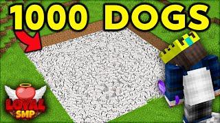 BREEDING 1054 DOGS in LOYAL SMP