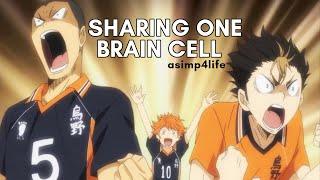 nishinoya tanaka & hinata sharing one brain cell  FUNNY HAIKYUU VIDEOS