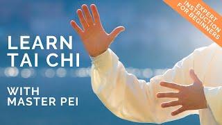 Tai Chi for Beginners  Best Instructional Video for Learning Tai Chi  Lesson 1