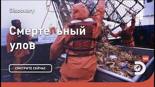 Начало  Смертельный улов  Discovery