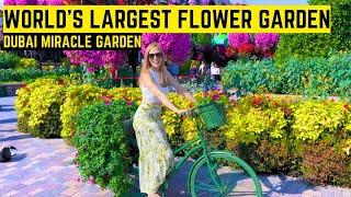 LARGEST FLOWER GARDEN IN THE WORLD Dubai Miracle GardensThe most underrated attraction in Dubai 