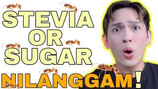 NILANGGAM? TESTING GLUTA + COLLAGEN DRINKS WITH STEVIA  TAMA NGA BA? SIR LAWRENCE