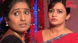 BOMMALAATAM - பொம்மலாட்டம் - Episode 1006 28042016