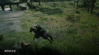 Tiger Striped Bay Mustang vs Cougar  Red Dead Redemption 2