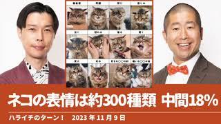 ネコの表情は約300種類 中間18％【ハライチのターン！】2023年11月9日
