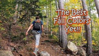 Come Along on this Magical Hike   Autumn Adventures #11