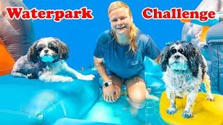 Assistant Hosts the Wiggles and Waggles Dog Water Park Challenge