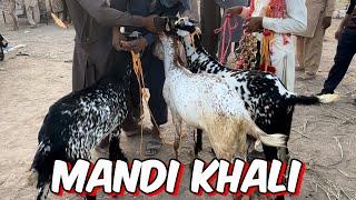 Lahore Mandi Khali I 2 manh pahle Kaha tha qurbani ka Janwar le lo l ab kehte hain Aamir bhai