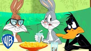 Looney Tunes en Latino  El nuevo amigo de Bugsy  WB Kids