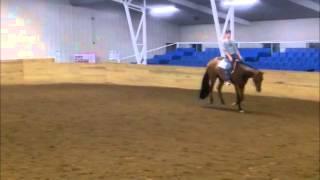 Pass The Details AQHA