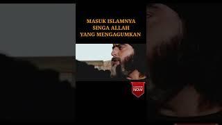 MASUK ISLAMNYA SINGA ALLAH YANG MENGAGUMKAN #shorts #shortsvideo #shortsfun #sejarahislam #nabi