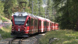 Rhätische Bahn - Die Bernina Bahn mit ABe 812 Allegra Triebwagen zwischen Tirano und St. Moritz