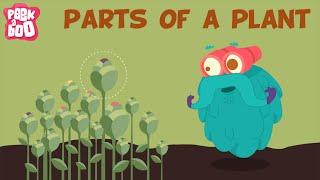 Parts Of A Plant  The Dr. Binocs Show  Learn Videos For Kids