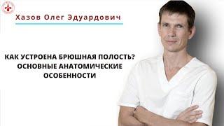 Как устроена брюшная полость? Основные анатомические особенности