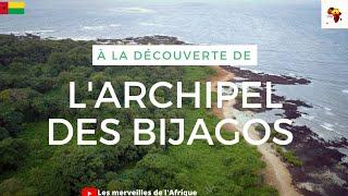 Découvrez larchipel des Bijagos lune des merveilles de lAfrique de louest