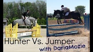 Hunter Vs Jumper  Riding Style & Rules