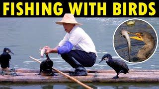 Fishing with Birds  Catching Fish with Birds  Fishing with Duck