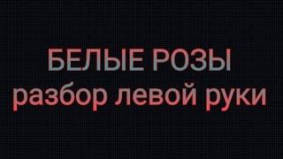 Ласковый майЮрий Шатунов-Белые розы  разбор на баяне левой руки