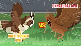 Unnatural Owl vs Great Horned Owl  Unnatural Habitat Animals Animation