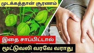 Joint Pain Remedies Tamil  Mootu Vali Neenga Maruthuvam  Leg Pain Remedy  Cramps  Mudakotthan