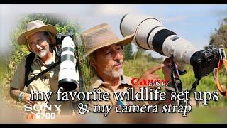 My favorite wildlife lenses set ups  and my cheap camera strap Canon R7 or Sony A6700... or both?