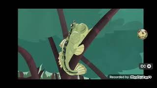 Wild Kratts - A Fish out of Water Full Episode