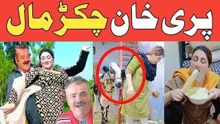 Pari Khan Chakar MaalTiktok funnyPashto dubbing Lalten mamaComedy video 2024