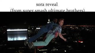 sora reveal real