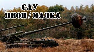 Советская САУ Пион и Малка  Обзор