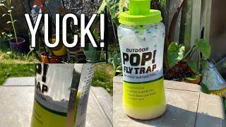 Aggressive Fly Control. Outdoor Pop Fly Trap