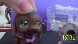 LPS The Zombie Bride Season #2 Episode #1 A New Frontier