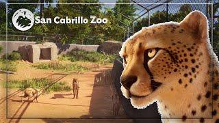  Realistic Cheetah +Dog? Habitat Speedbuild  Planet Zoo Sandbox Series