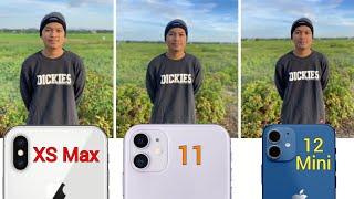 iPhone XS Max vs iPhone 11 vs iPhone 12 Mini Camera Comparison 