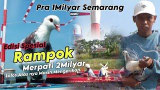 Edisi Spesial Rampok Merpati 2Milyar Berlaga di Pra2 1Milyar Kolong Jkk Semarang