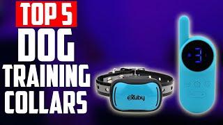 TOP 5 Best Dog Training Collars of 2023