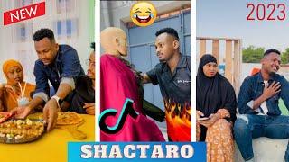 TIKTOK SOMALI SHACTARO  BEST OF MURSAL JANUARY 2023