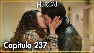 Hercai - Capítulo 237