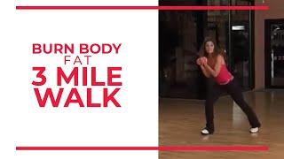 Burn Body Fat 3 Mile  Leslie Sansones Walk at Home