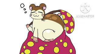 Fat Snoozer Diane Pie Outro Hamtaro
