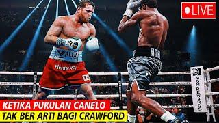 Canelo vs Crawford Ketika Pukulan Canelo Dianggap Mainan Sama Crawford  Tinju Dunia Hari Ini