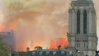 Molly Thomas - Notre Dame Cathedral burns CTV National News