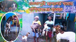 পশ্চিমবঙ্গে তোতাপুরি ও বিটল জাতের ছাগলের খামার হাওড়া । West Bengal goat farm video ।goat farming