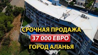 Срочная Продажа Квартиры в Алании  Свой Дом за 37 000 Евро  ArbatHomes 2024