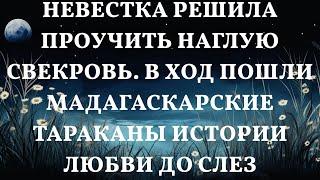 Невестка решила проучить наглую свекровь. В ход пошли МАДАГАСКАРСКИЕ тараканы Истории любви до сле