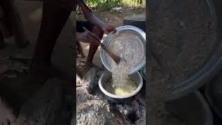 Wholistic Vegan Sauce  An African Village Lunch Time  Organic living