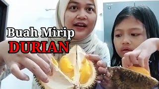 BUAH MIRIP DURIAN  muara syifa #buah #durian #mukbang