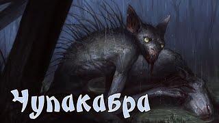 Чупакабра - «козий вампир»  Североамериканские мифические существа