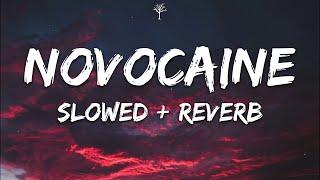 Shiloh Dynasty - Novocaine Lyrics Slowed + Reverb